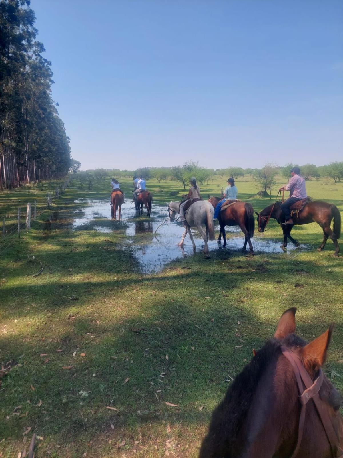 Estancia La Violeta ชาร์คารี ภายนอก รูปภาพ