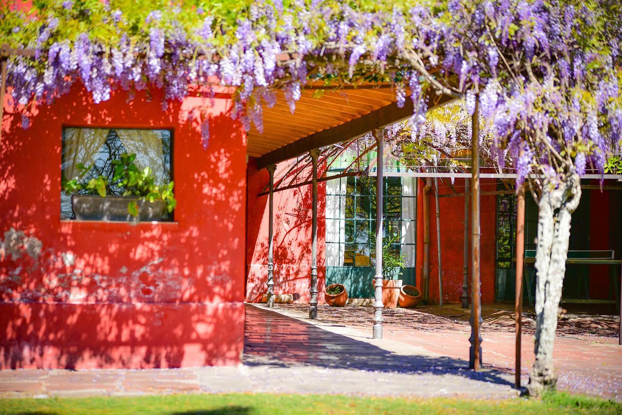 Estancia La Violeta ชาร์คารี ภายนอก รูปภาพ