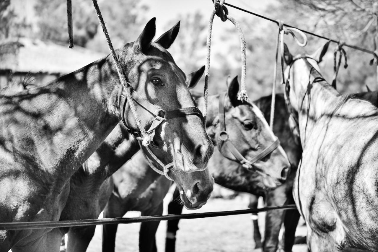 Estancia La Violeta ชาร์คารี ภายนอก รูปภาพ