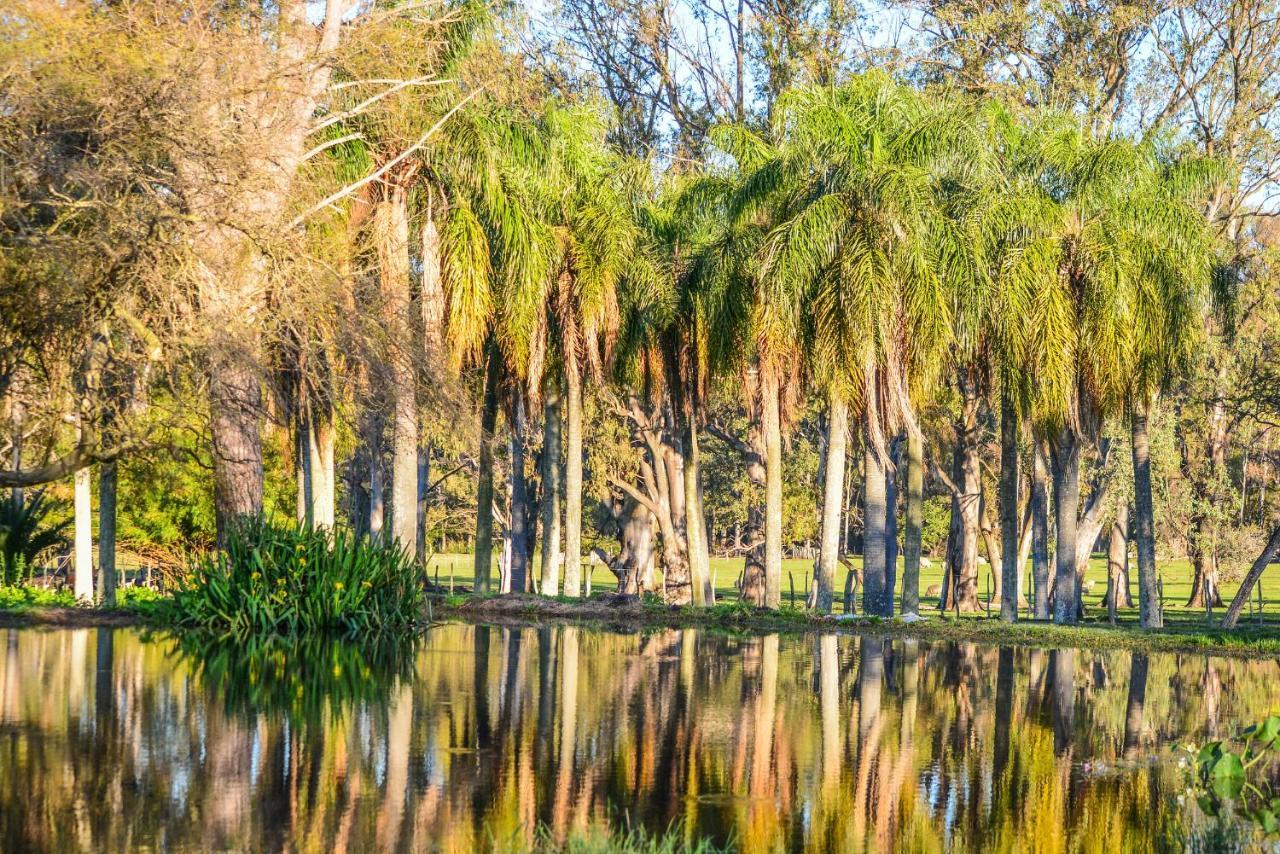 Estancia La Violeta ชาร์คารี ภายนอก รูปภาพ