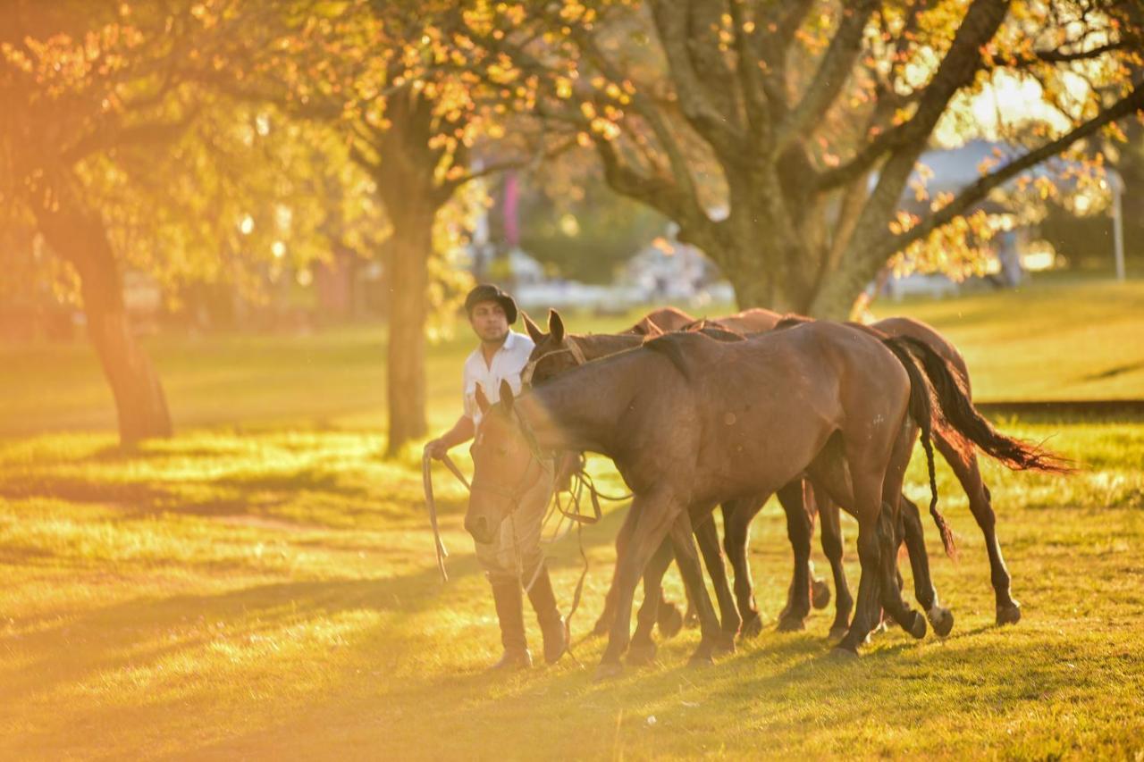Estancia La Violeta ชาร์คารี ภายนอก รูปภาพ